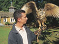 Image for 1 Hour Falconry Experience